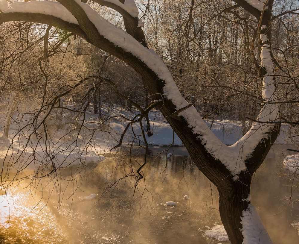 Морозное утро