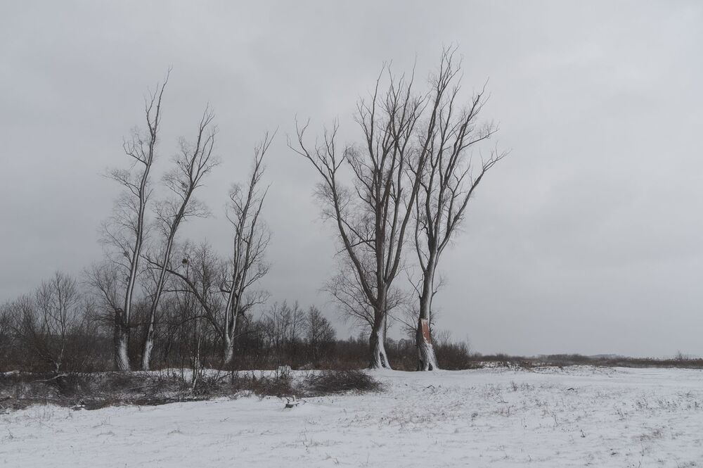 Январский день на р.Вилия