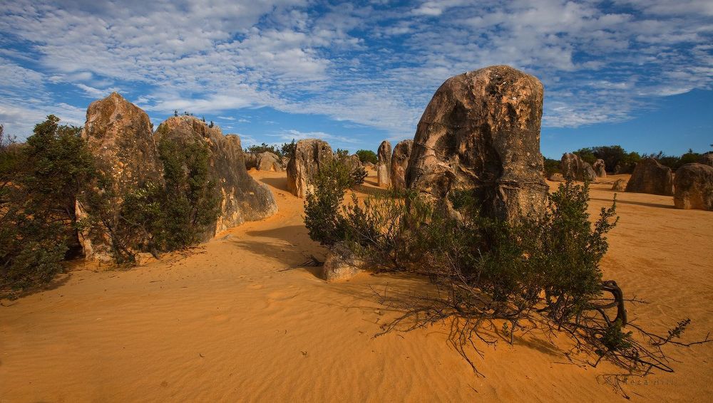 1. Это чудо австралийской природы находится в национальном парке Nambung, что в 245-ти километрах к Северу от Перта. Национальный парк Nambung был назван по имени реки, извивающейся по территории парка и исчезающей в недрах известняковых пещер.