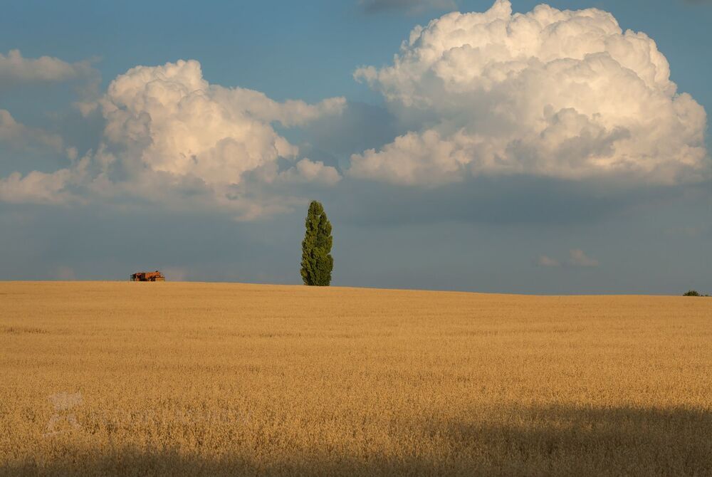Край облаков