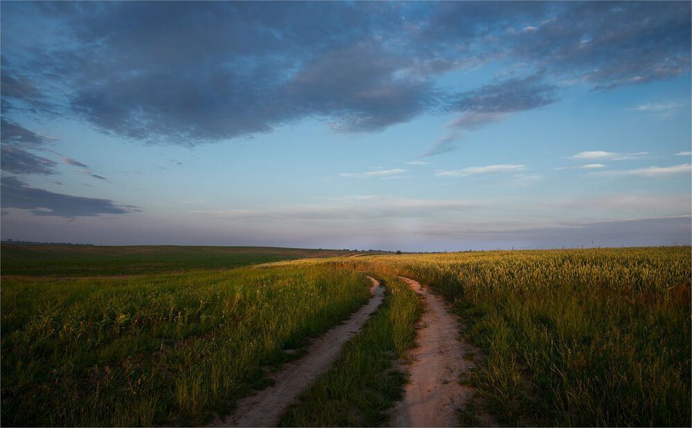 summer open spaces...