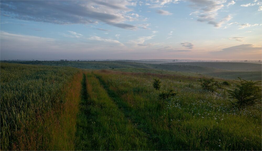 summer open spaces...