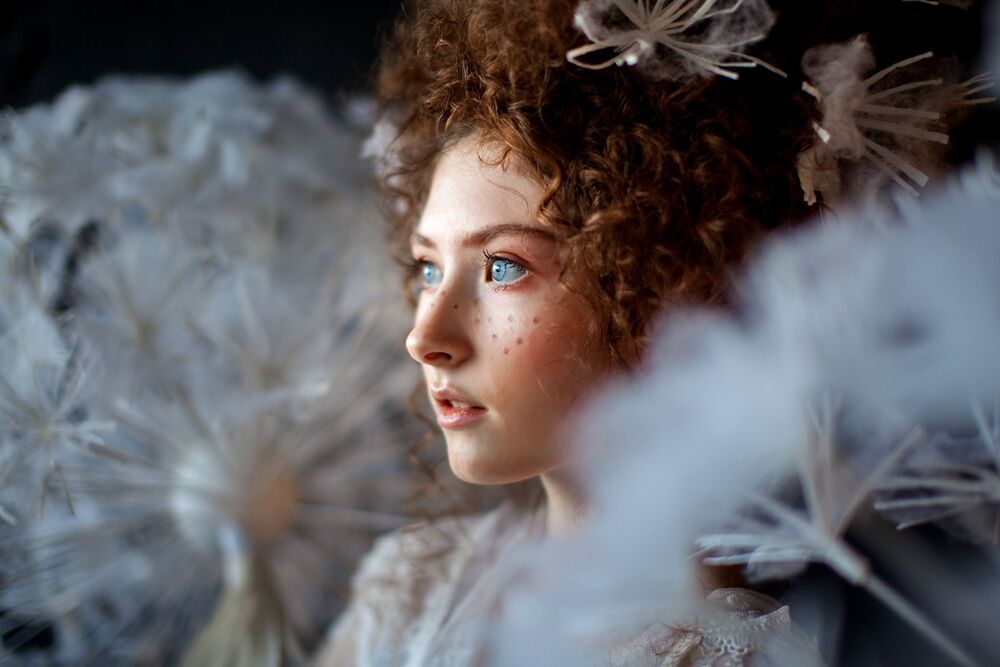 dandelion