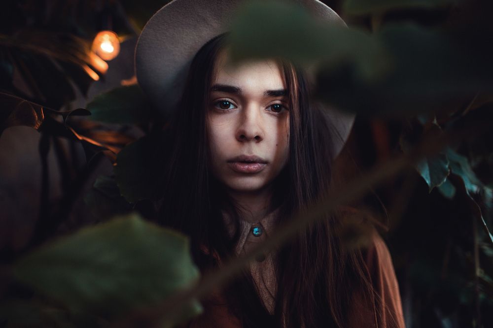 Photo 1647245