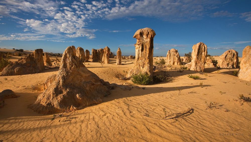 7. Общественности о Pinnacle Desert стало известно совсем недавно, в конце 60-х годов прошлого столения.