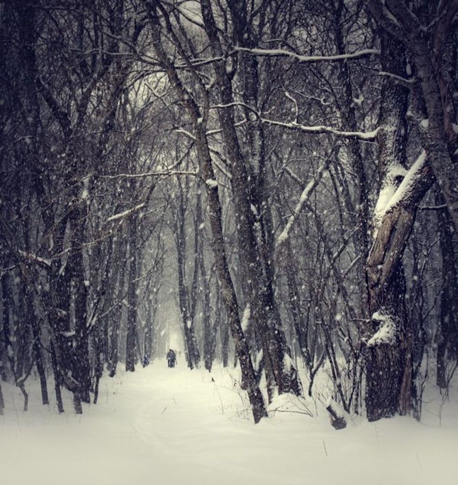 Photo 165652
