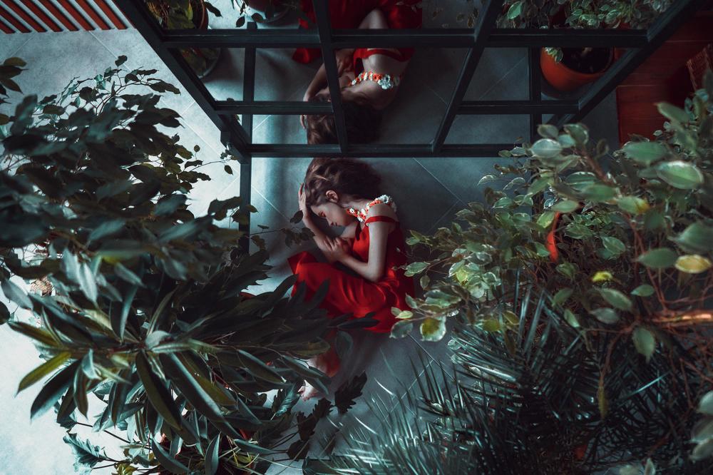 THE SCARLET FLOWER