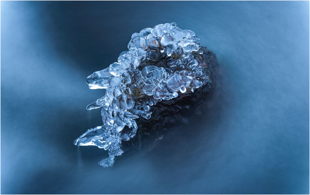 Diamonds of winter