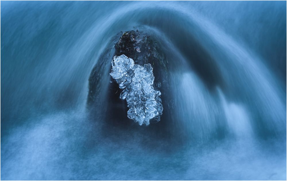 Diamonds of winter