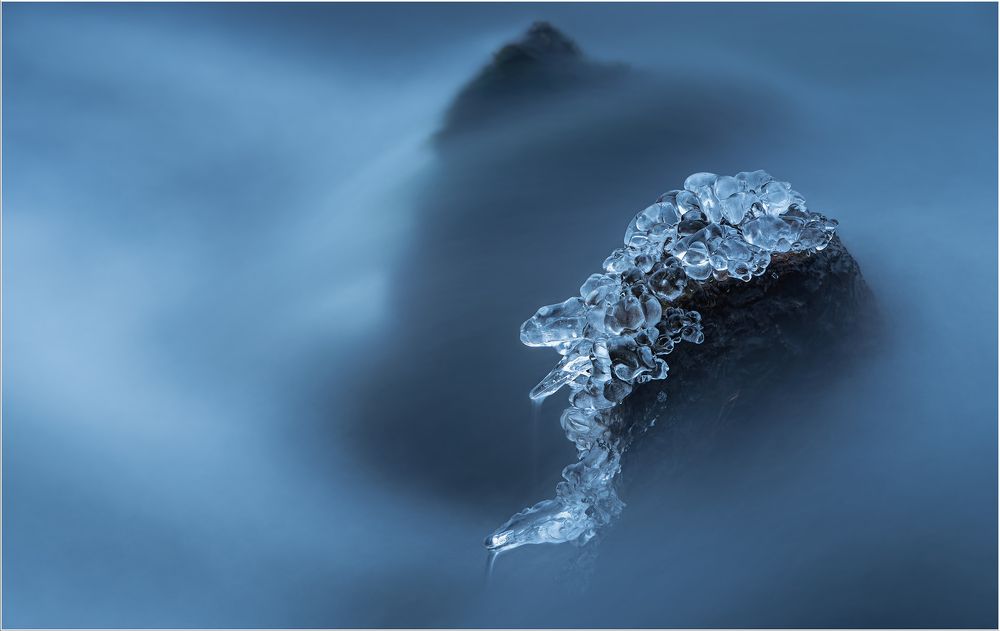 Diamonds of winter