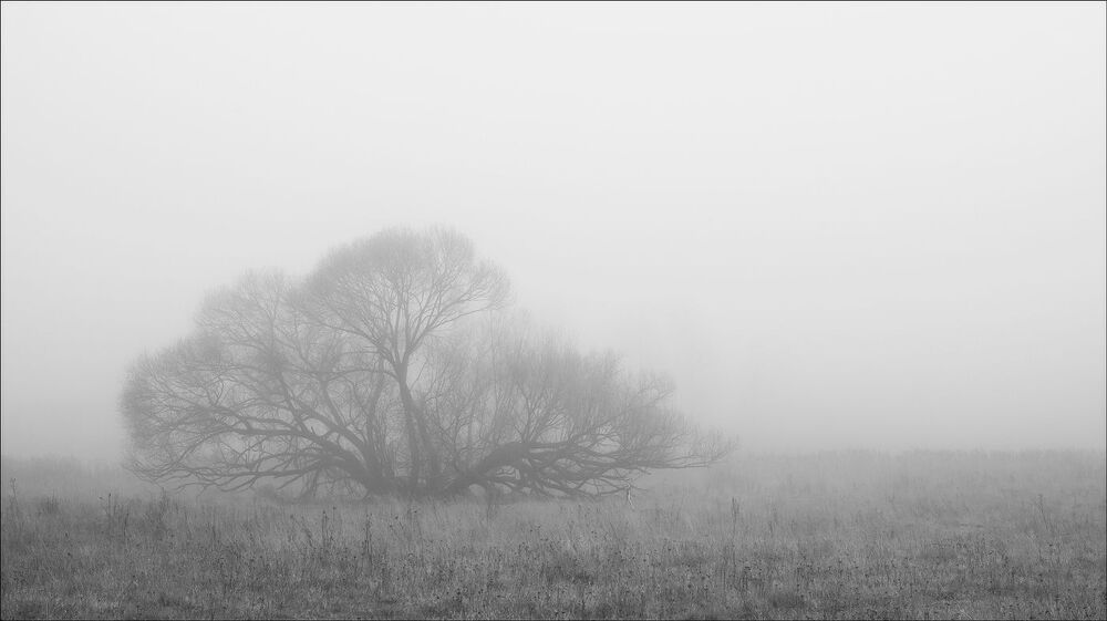 Abstract nature