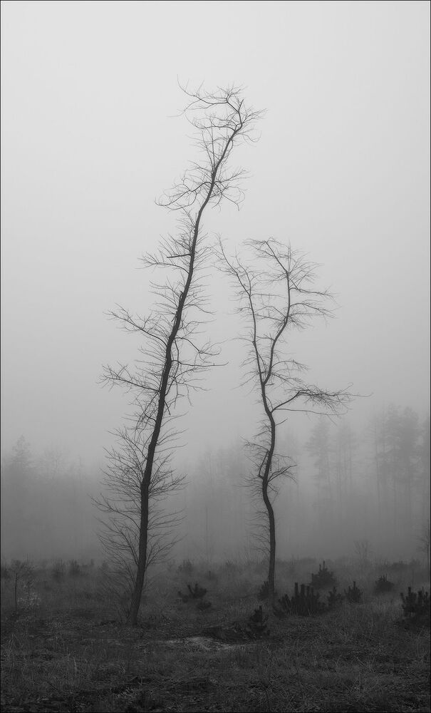 Abstract nature