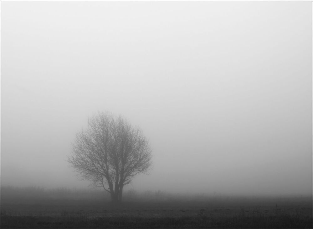 Abstract nature
