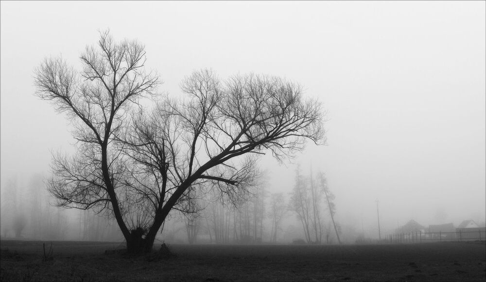 Abstract nature