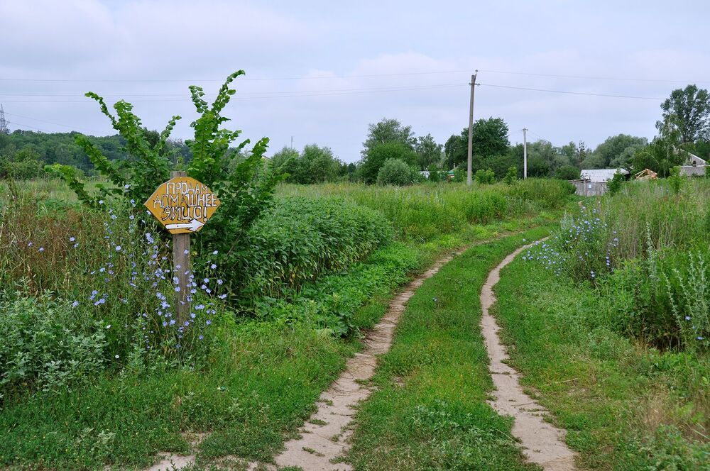 Деревенские зарисовки