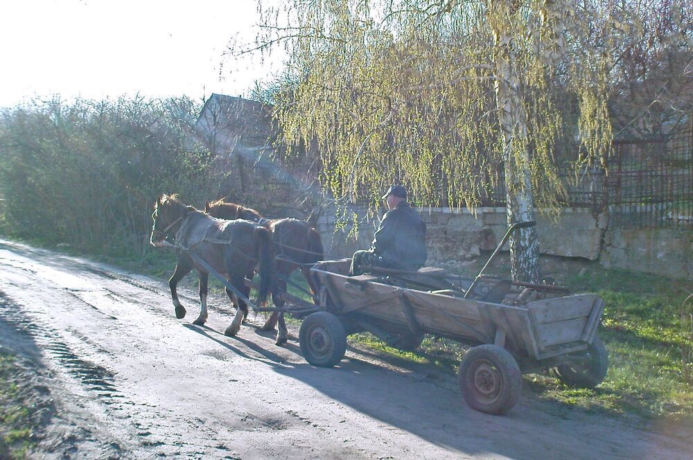 Деревенские зарисовки