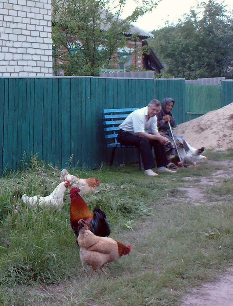 Деревенские зарисовки