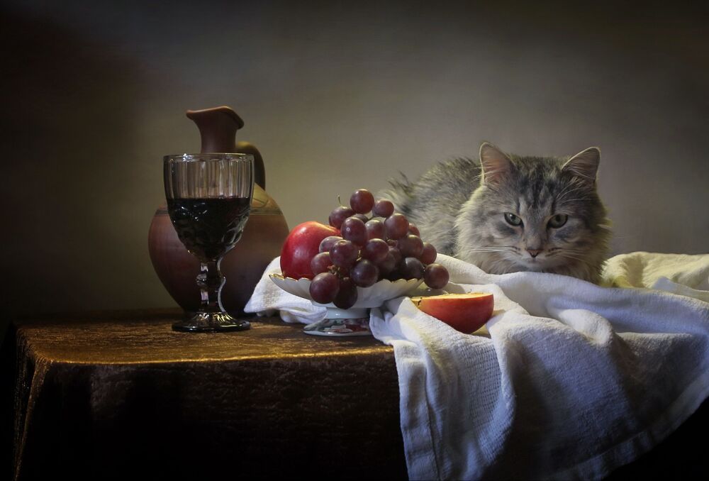 Котэ суров...