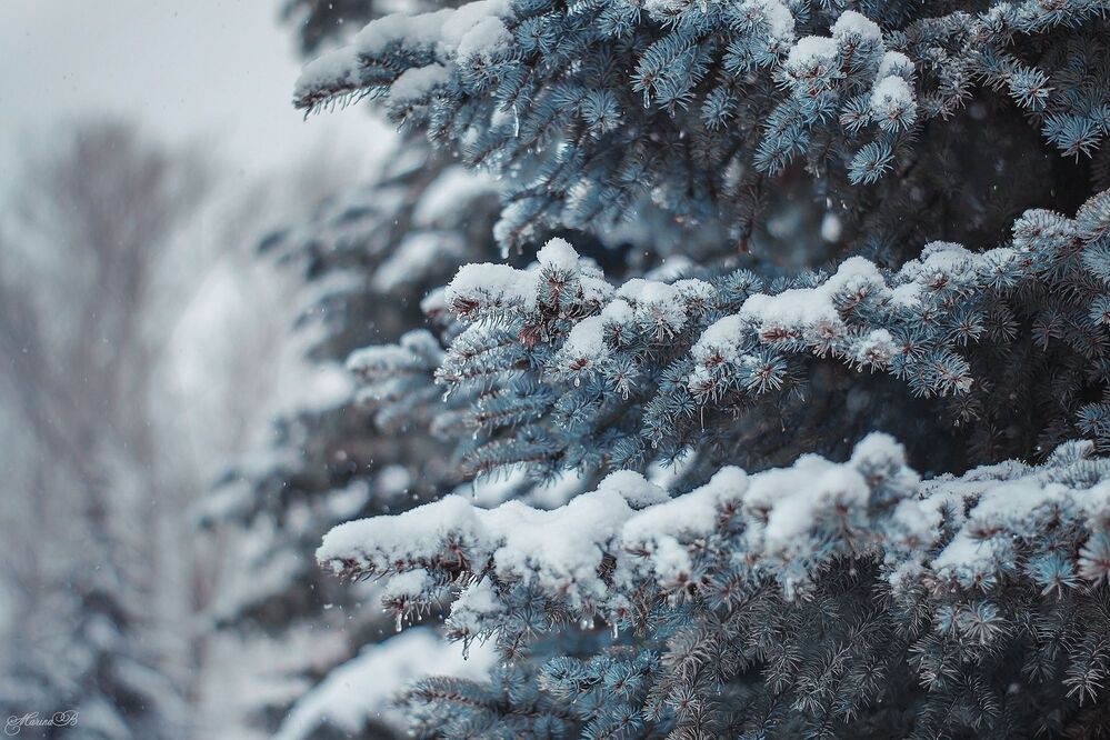 Frozen tears