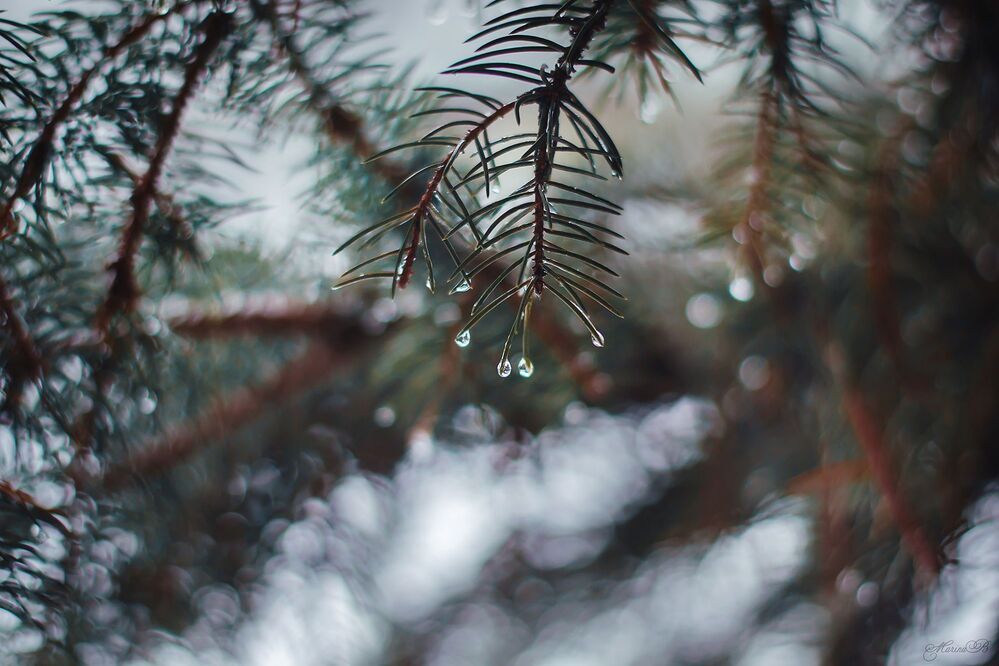 Frozen tears