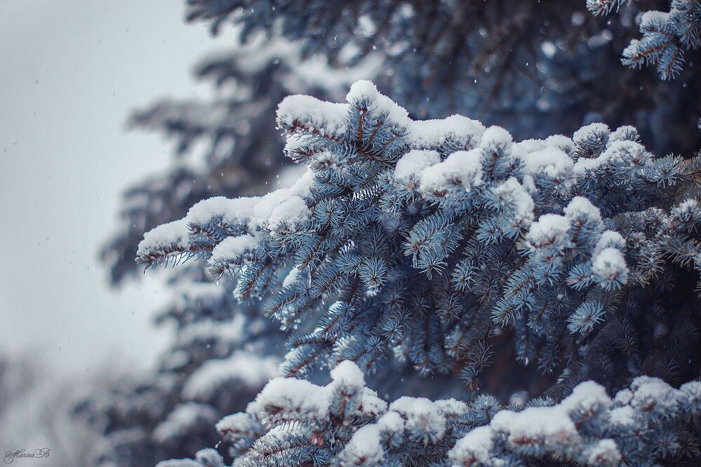 Frozen tears