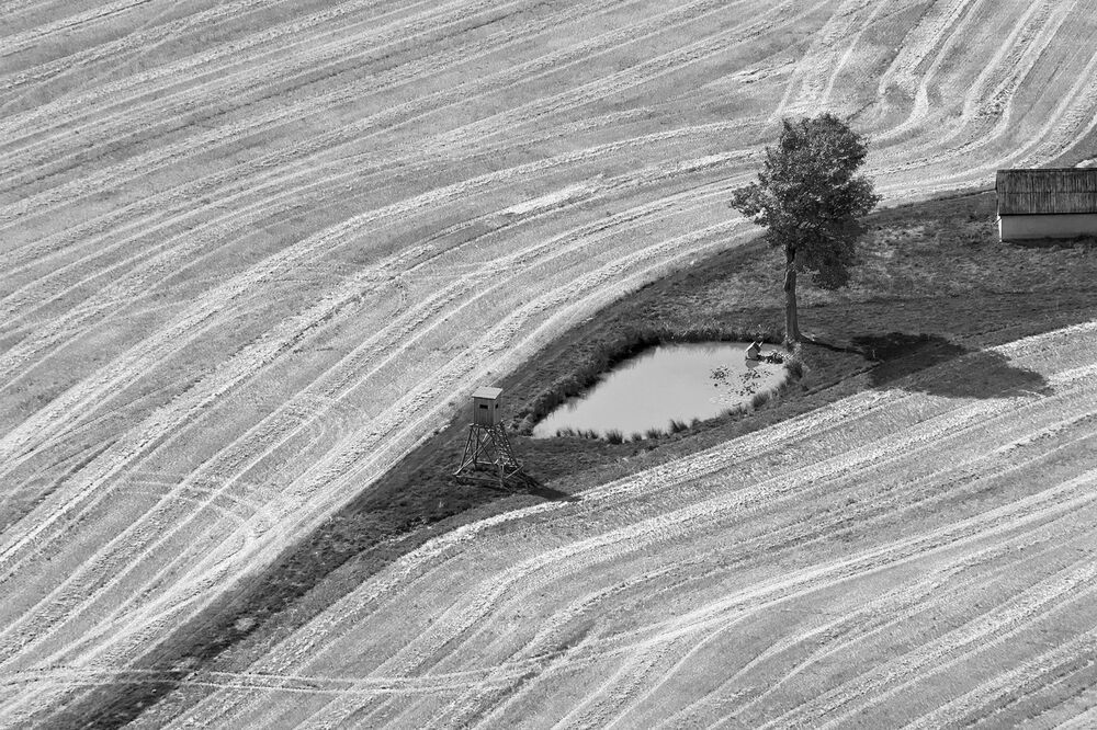 черно-белый; black & white; Schwarz-Weiss