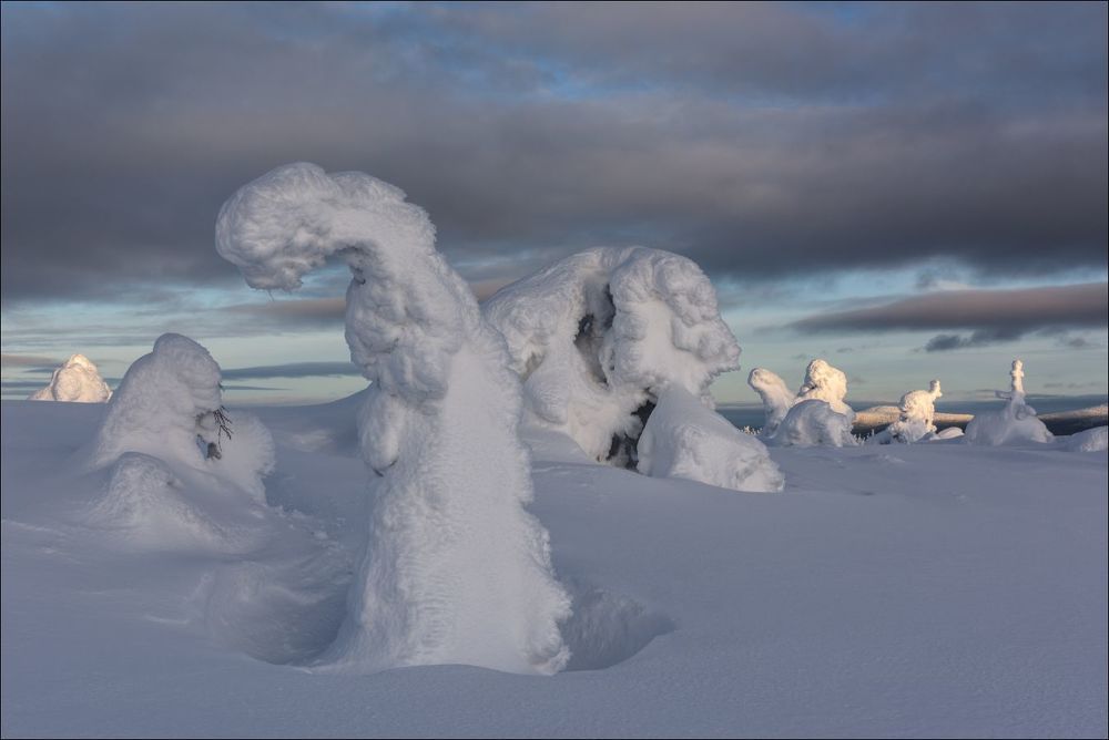 В первых лучах