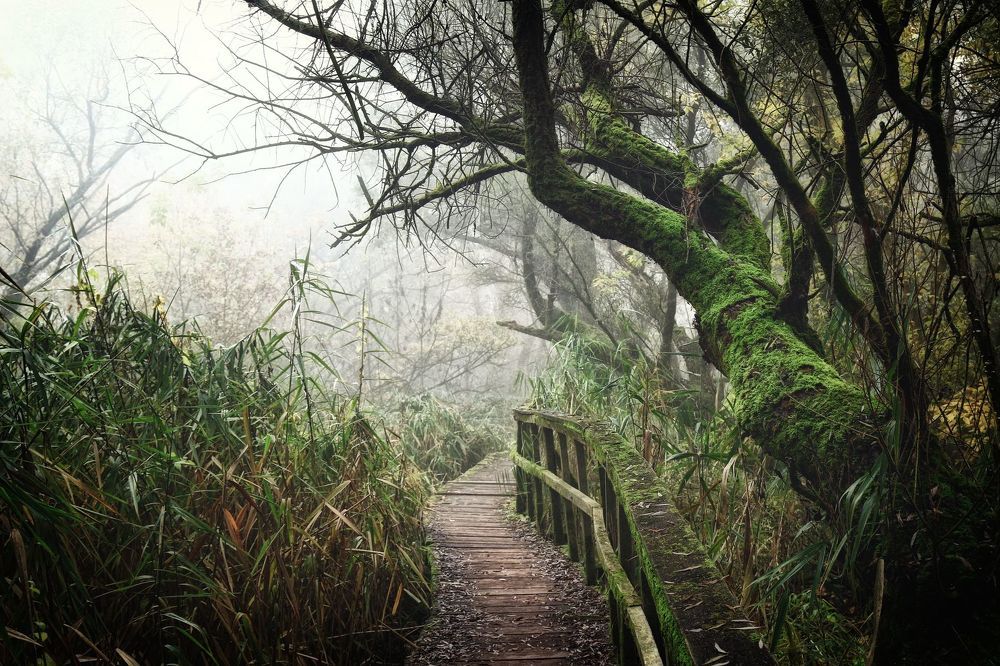 Foggy morning....