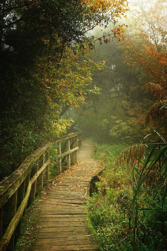 Foggy morning....