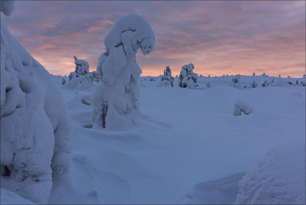 На восходе