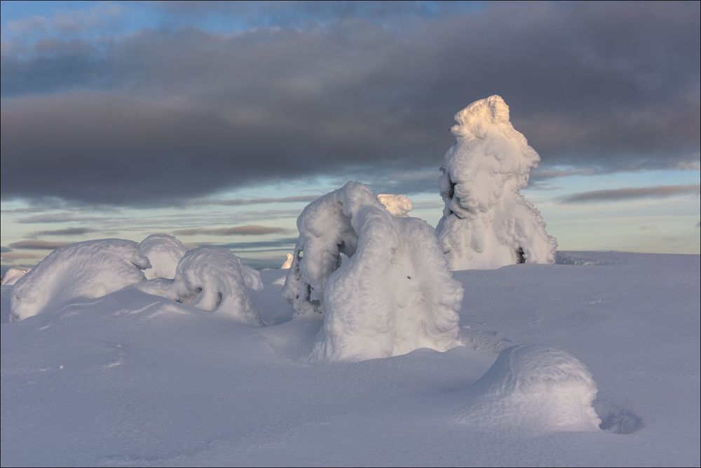 В первых лучах