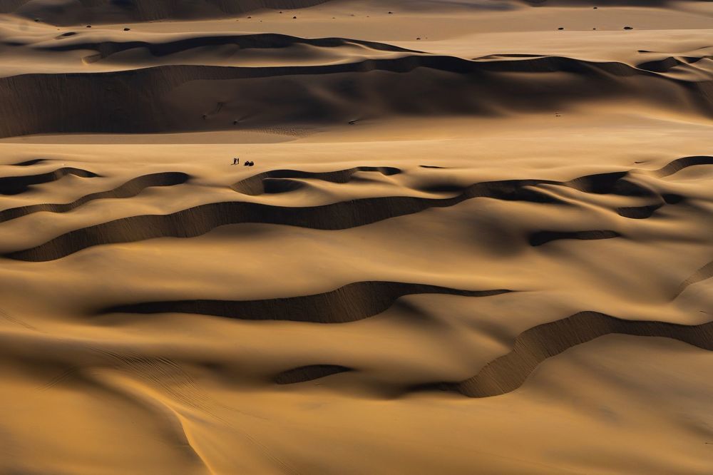 Desert and life-8