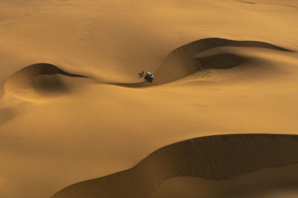 Desert and life-7