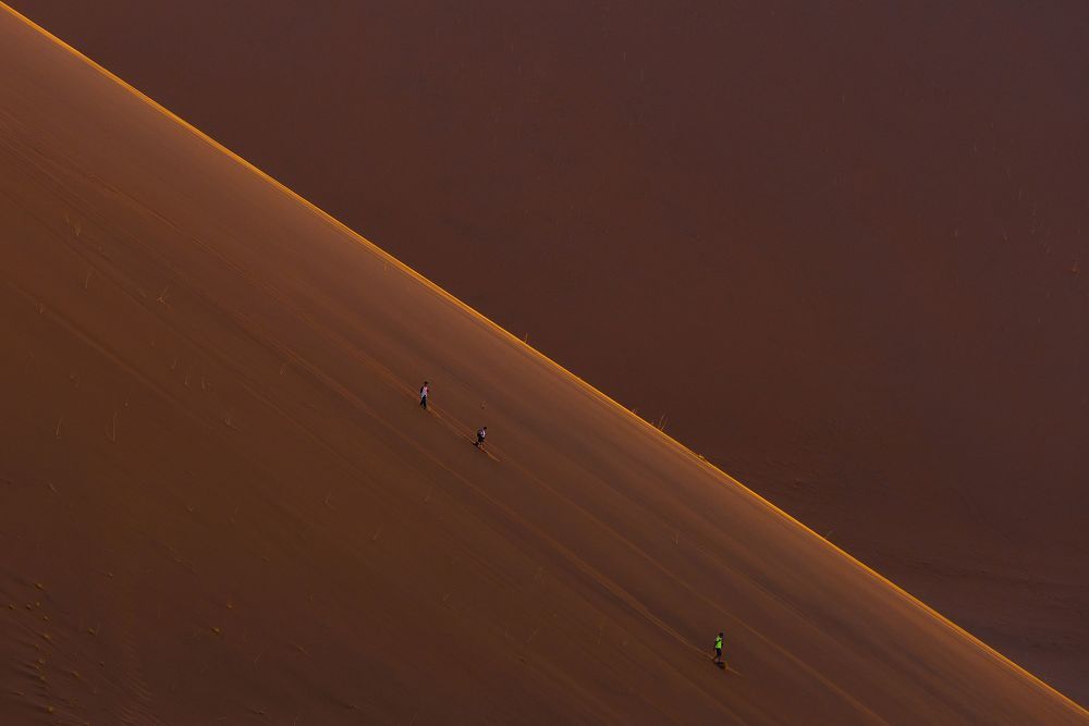 Desert and life-5