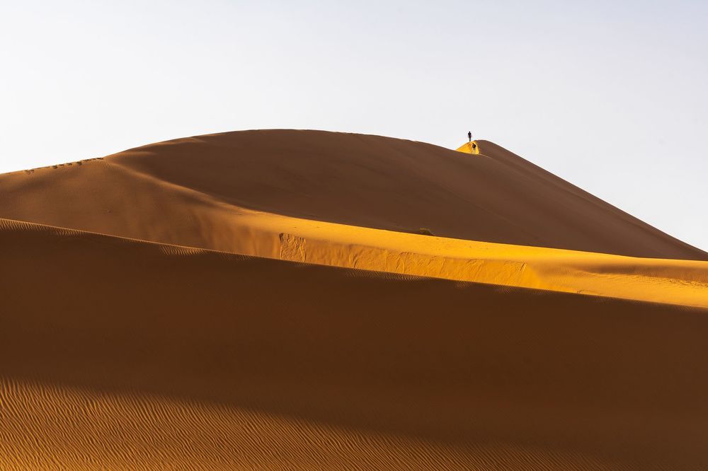 Desert and life-3