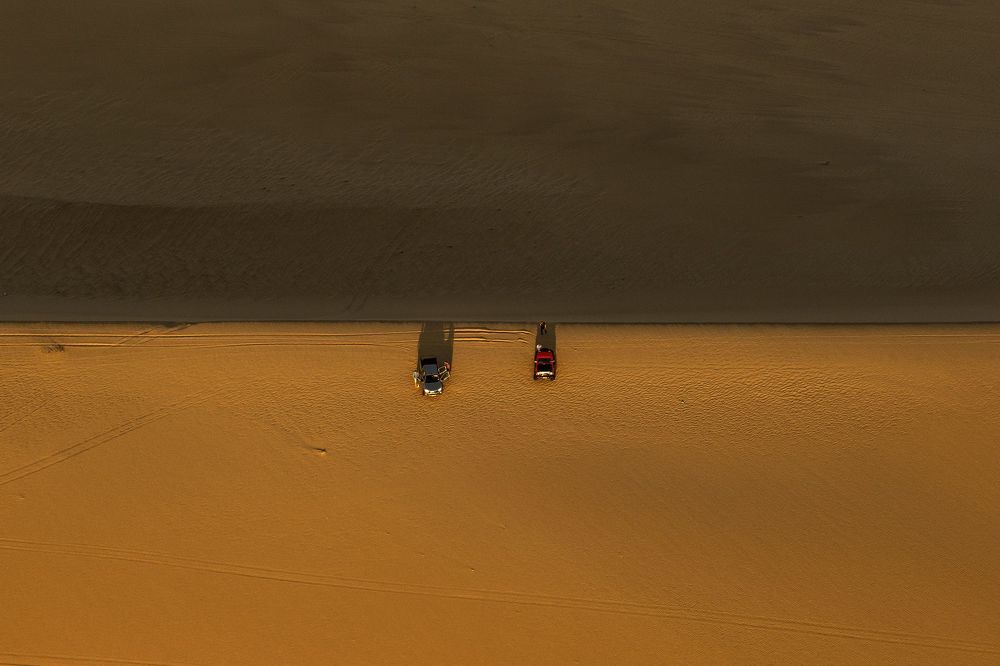 Desert and life-10