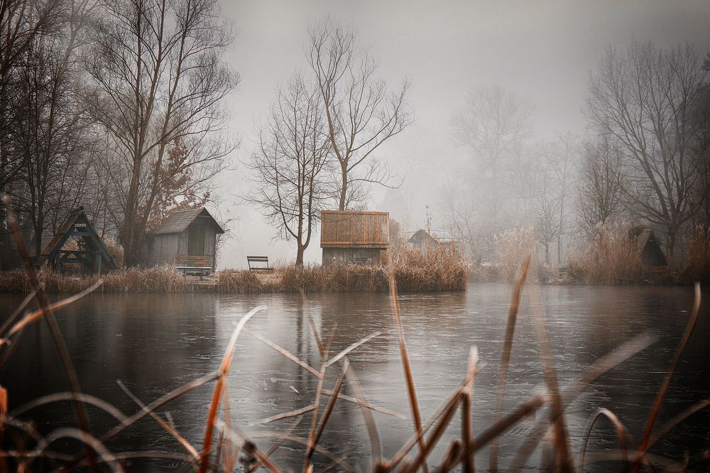 Lakeland 1