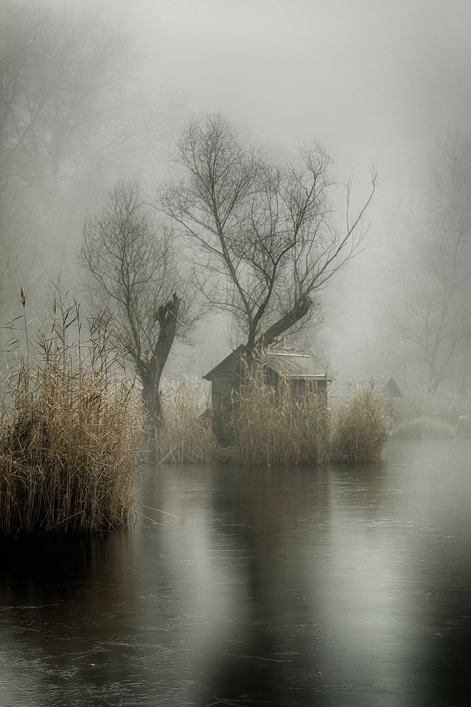 Lakeland 1