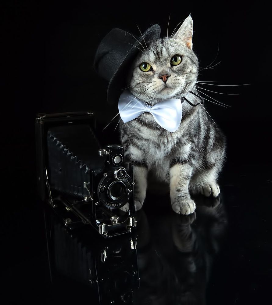 Маркиз - Фотограф
