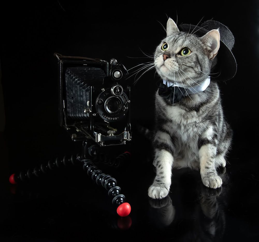 Маркиз - Фотограф