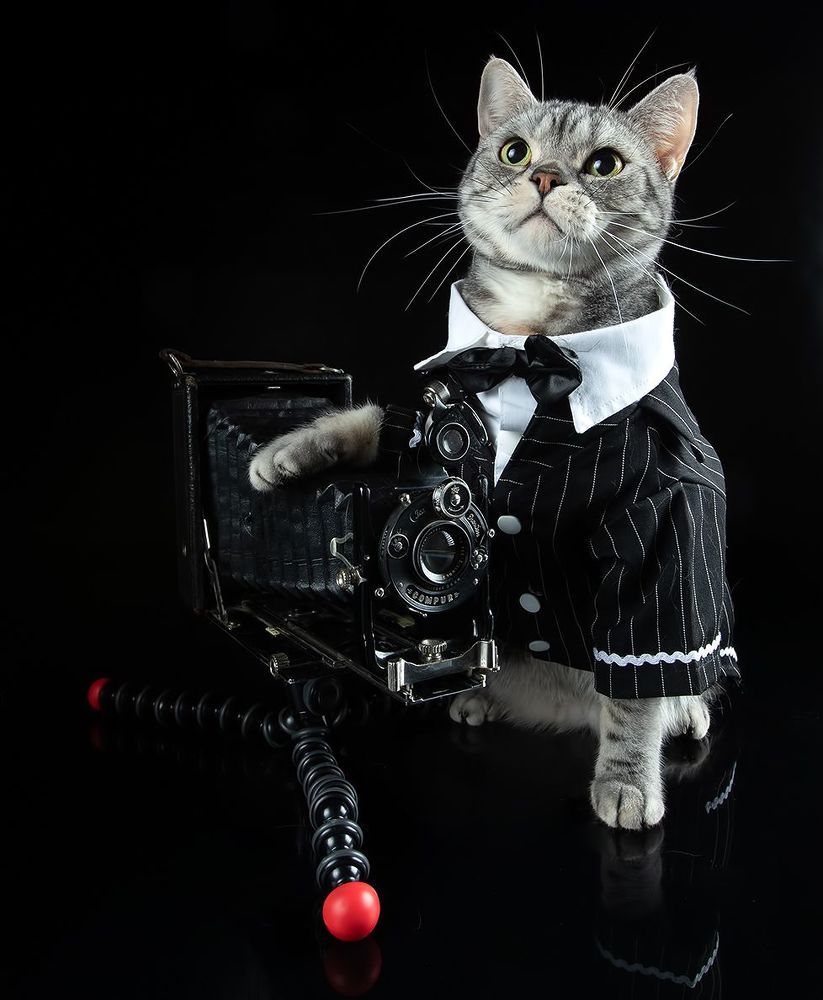 Маркиз - Фотограф