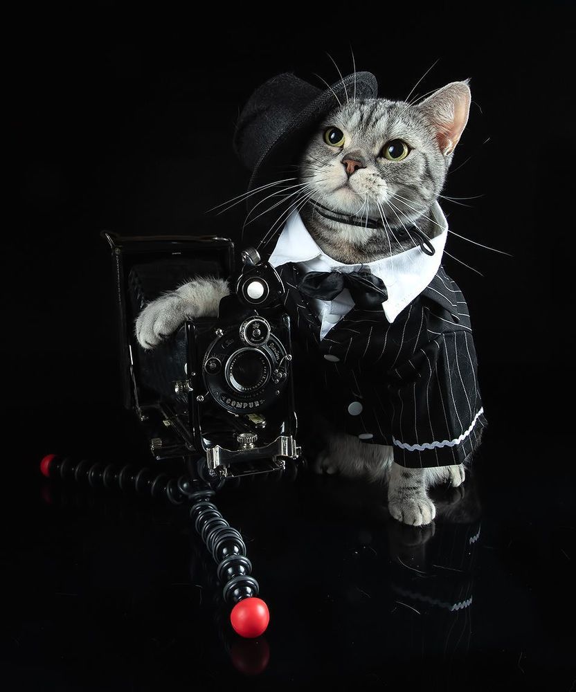 Маркиз - Фотограф