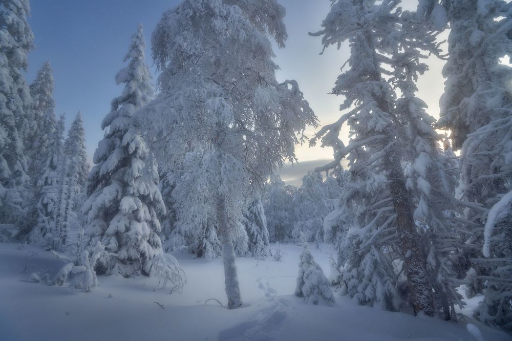 Снежным днем