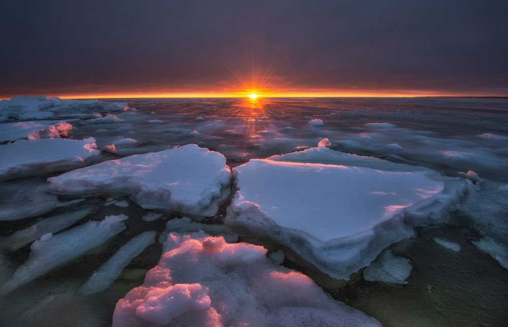 Когда Белое море не совсем белое.
