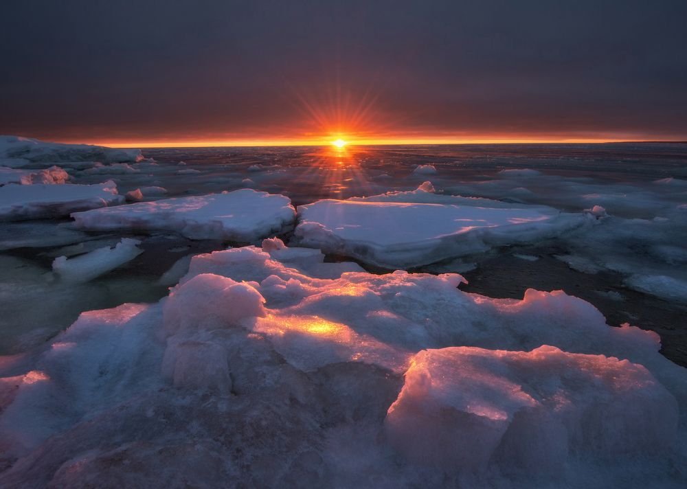 Когда Белое море не совсем белое.