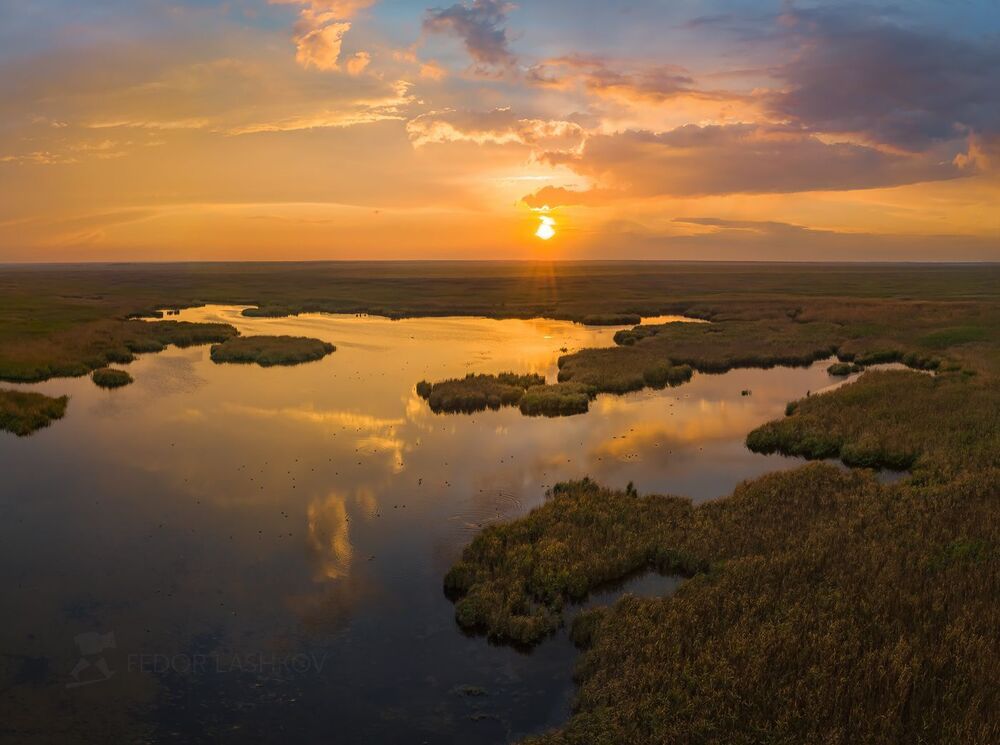 Водно-болотный комплекс