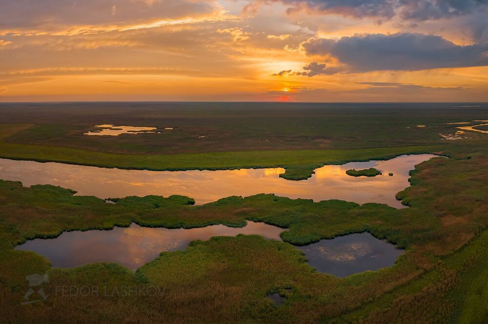 Водно-болотный комплекс