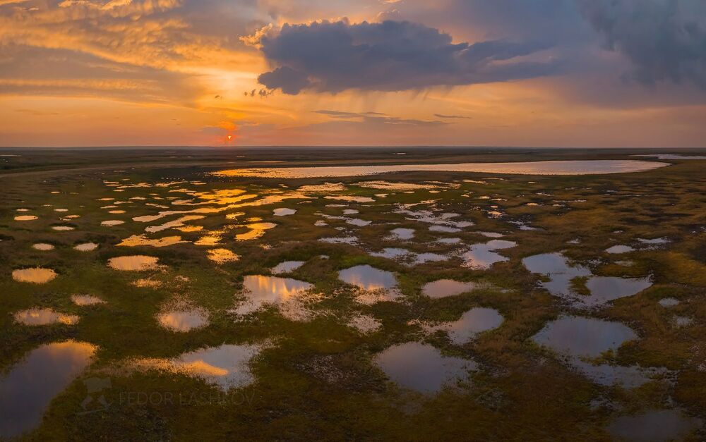 Водно-болотный комплекс