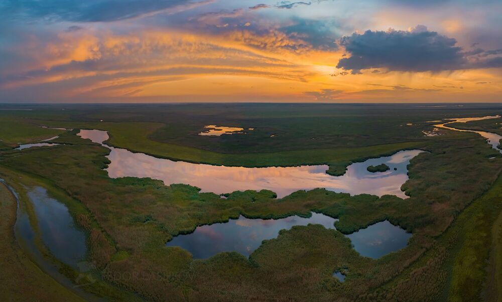 Водно-болотный комплекс