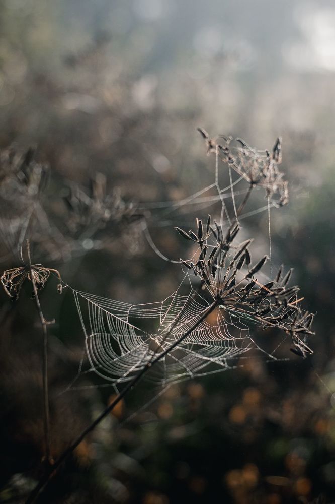Photo 1681416